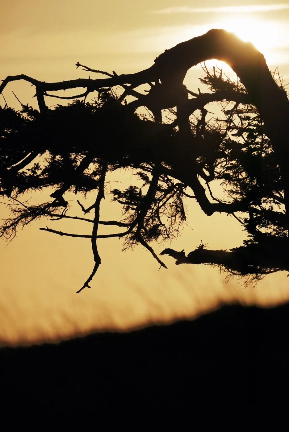 Bandon Summer Quick Edits 75.JPG