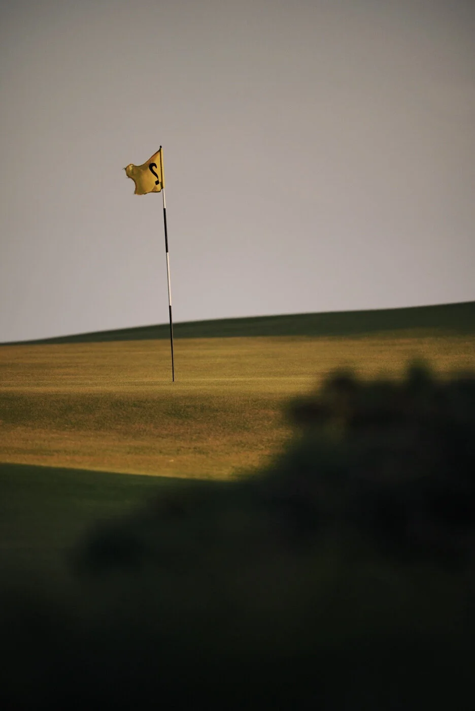 Bandon Summer Quick Edits 78.JPG