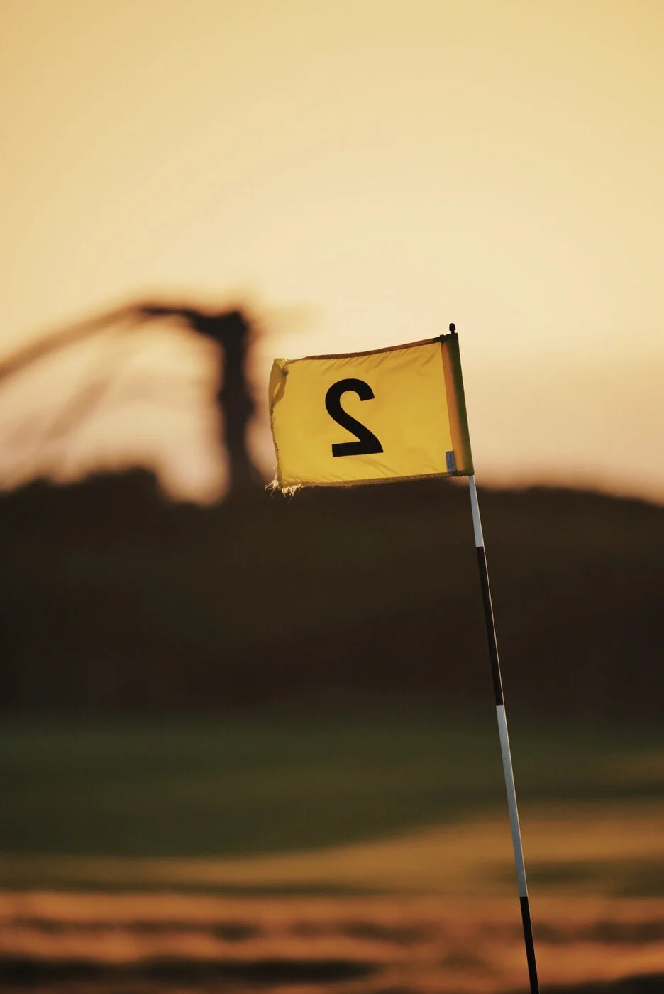 Bandon Summer Quick Edits 82.JPG