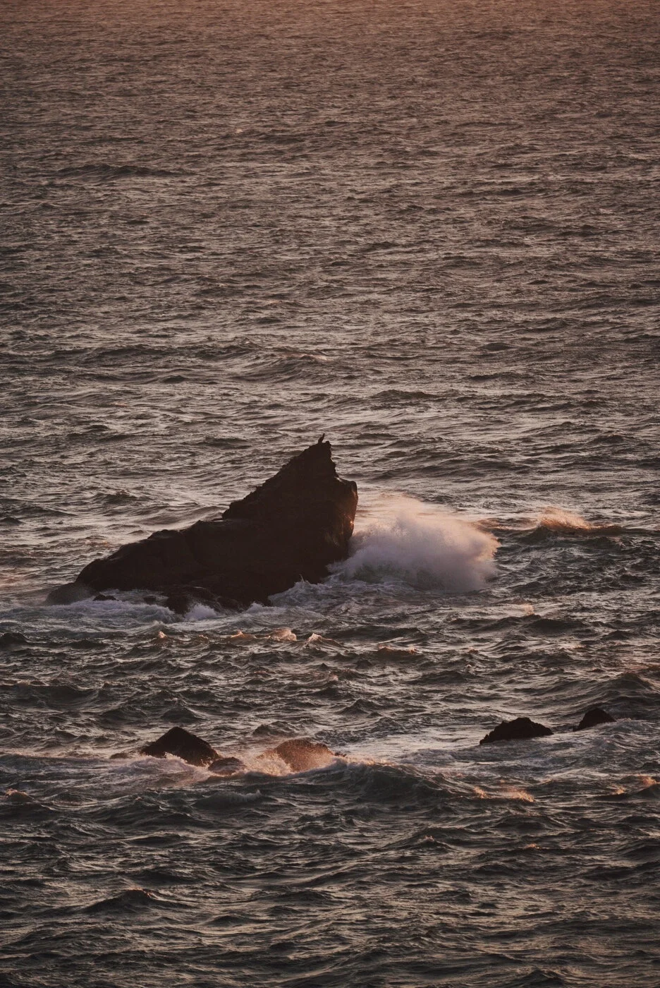 Bandon Summer Quick Edits 92.JPG