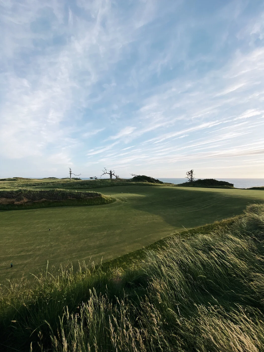 Bandon Summer Quick Edits 98.JPG