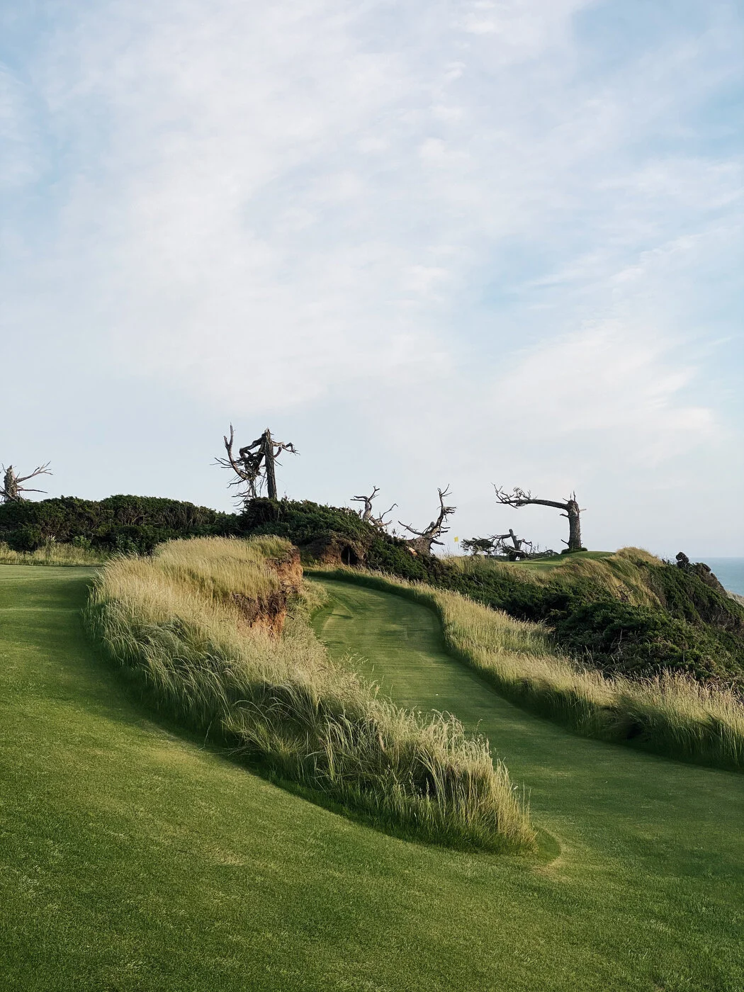 Bandon Summer Quick Edits 99.JPG