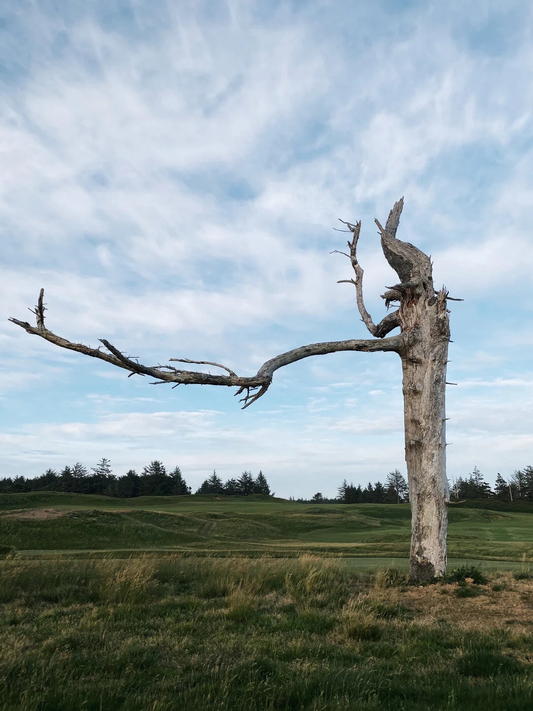 Bandon Summer Quick Edits 101.JPG