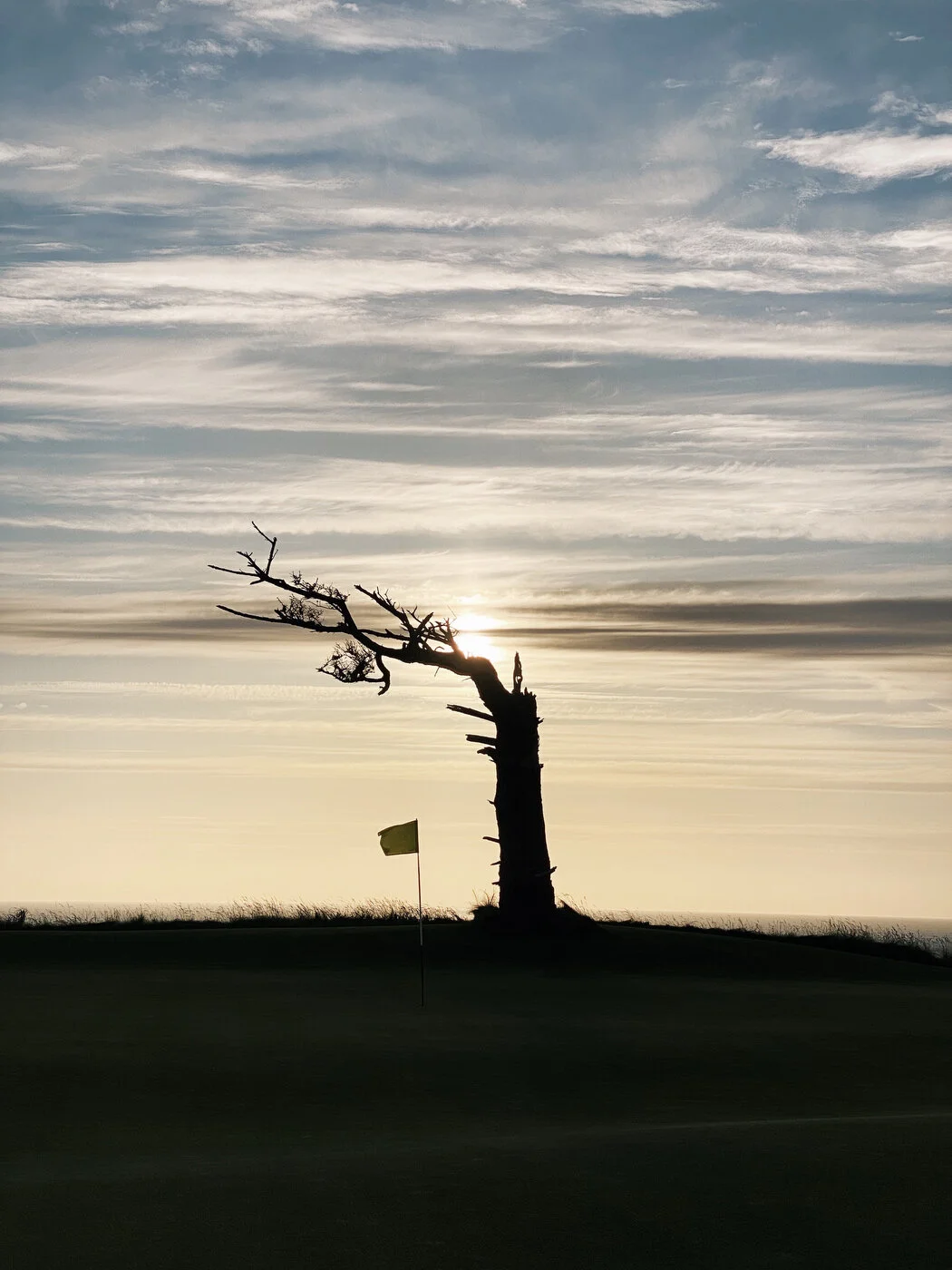 Bandon Summer Quick Edits 102.JPG