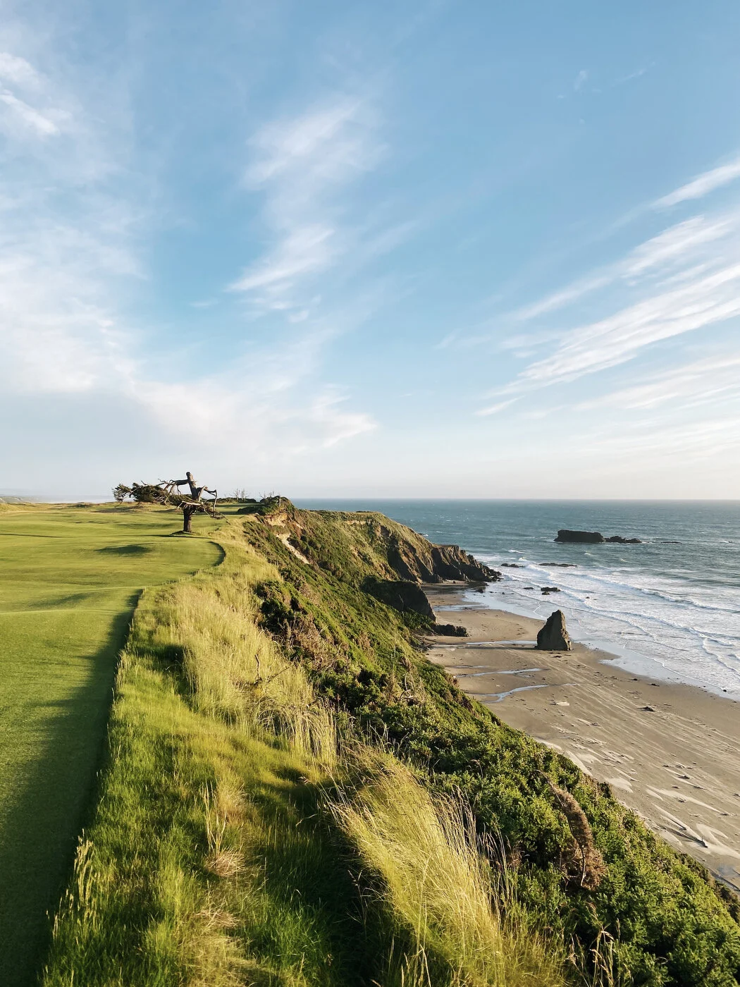Bandon Summer Quick Edits 106.JPG