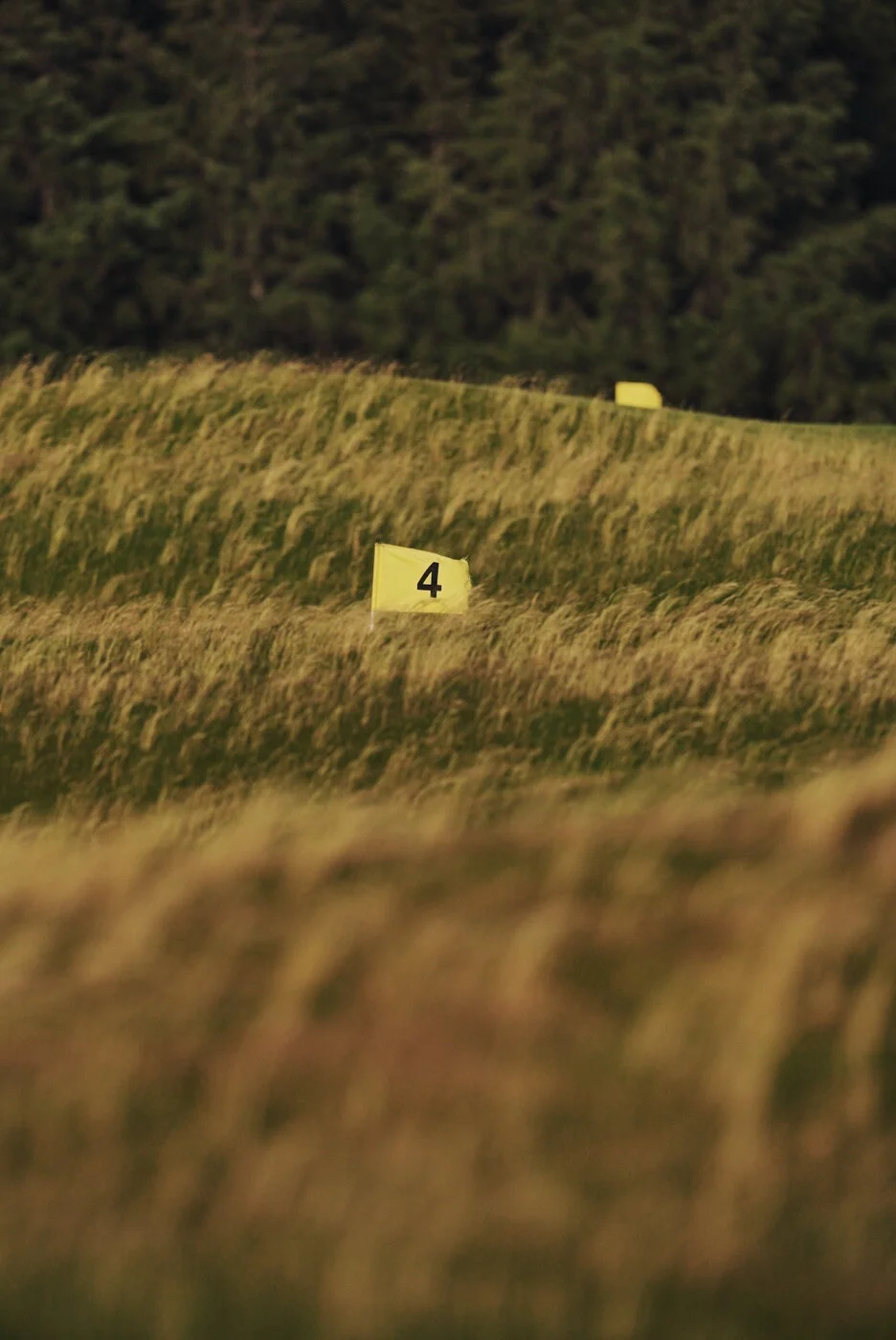 Bandon Summer Quick Edits 109.JPG