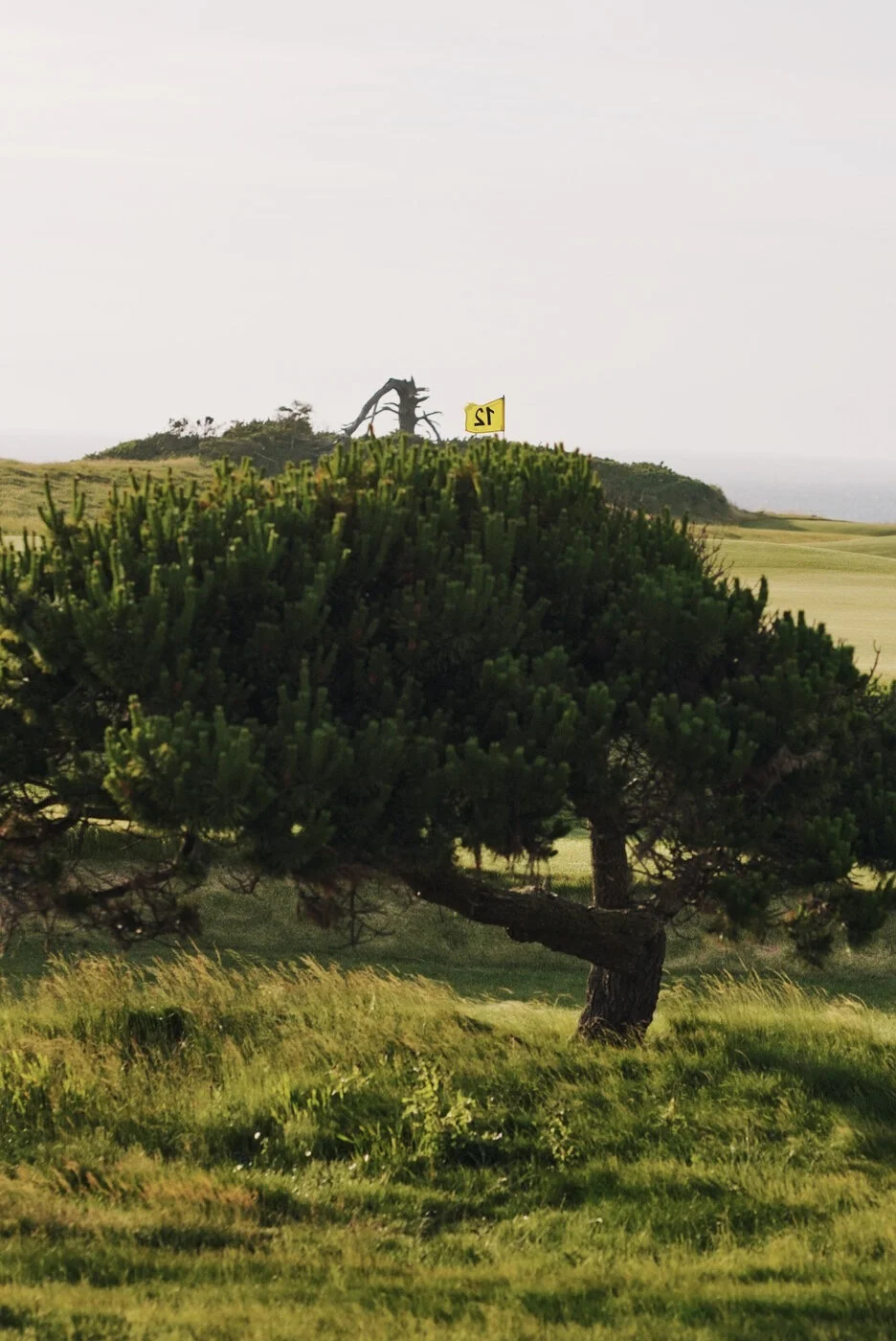 Bandon Summer Quick Edits 114.JPG
