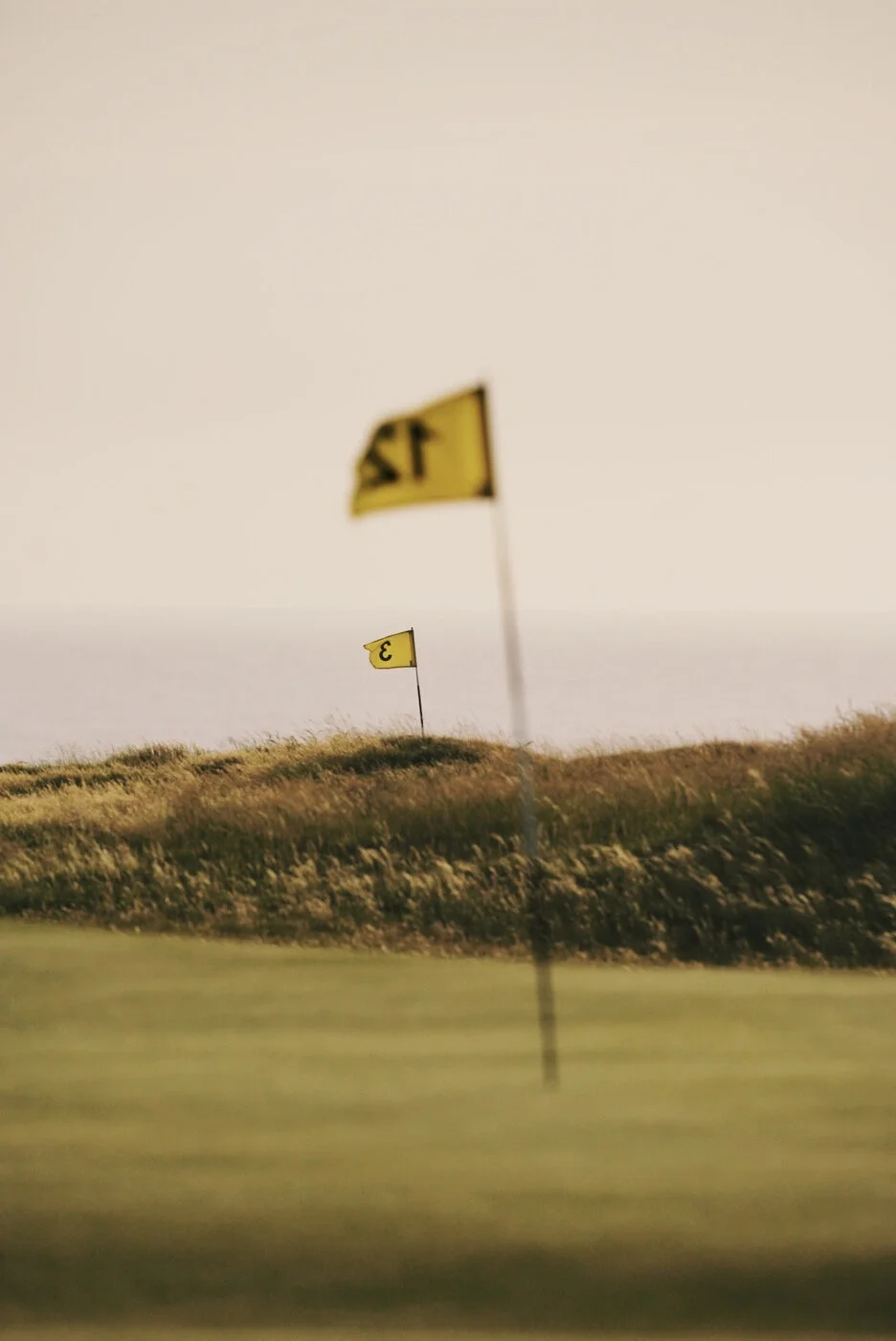 Bandon Summer Quick Edits 122.JPG