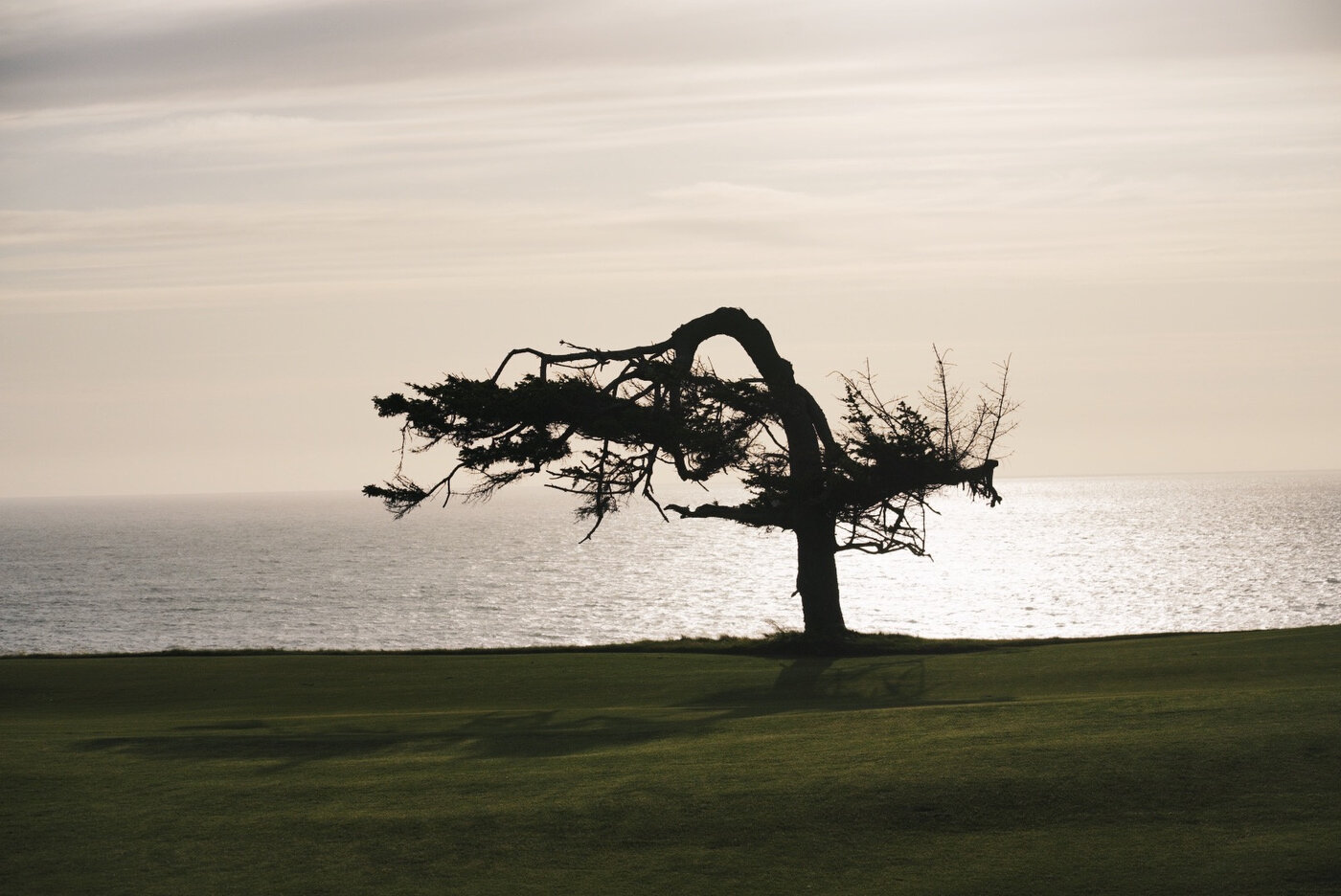 Bandon Summer Quick Edits 125.JPG