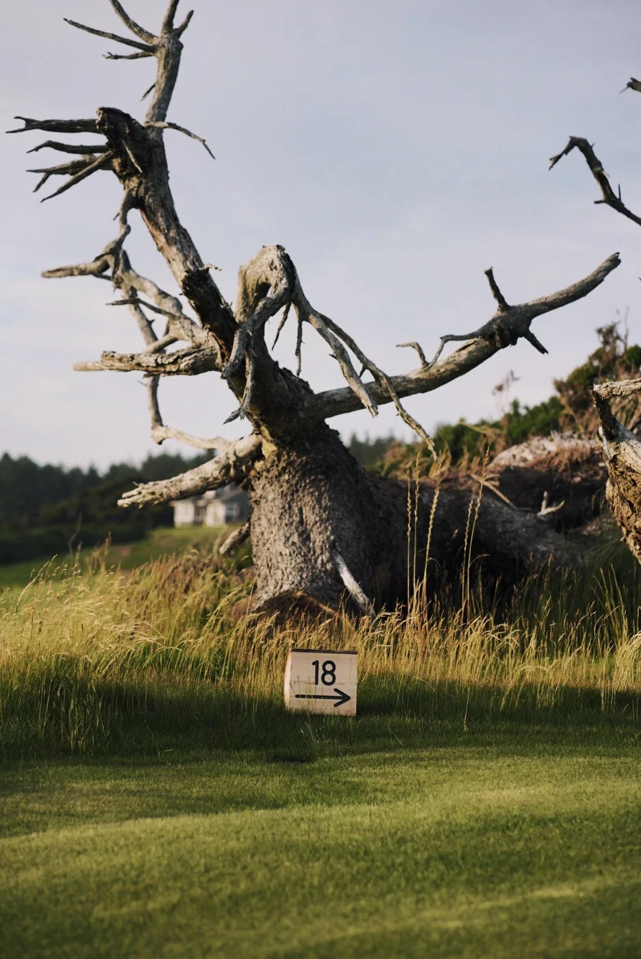 Bandon Summer Quick Edits 129.JPG