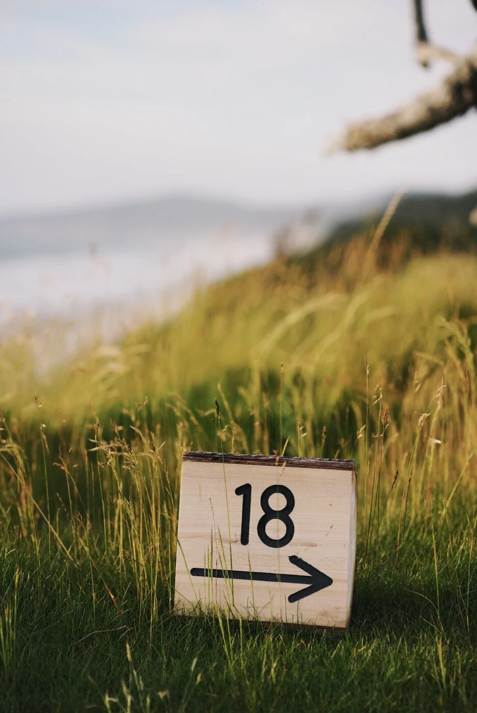 Bandon Summer Quick Edits 132.JPG