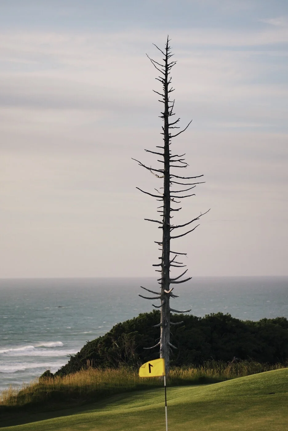 Bandon Summer Quick Edits 133.JPG