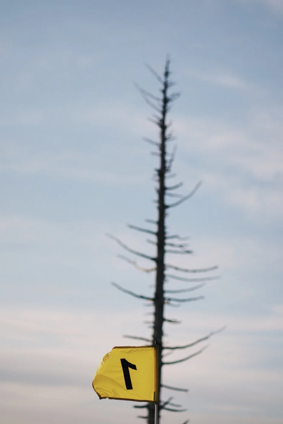 Bandon Summer Quick Edits 134.JPG