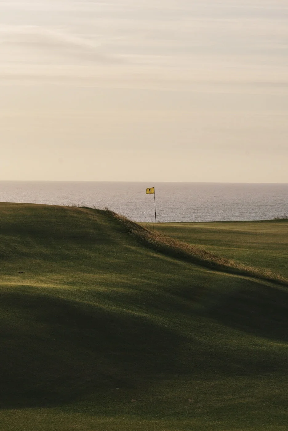 Bandon Summer Quick Edits 138.JPG