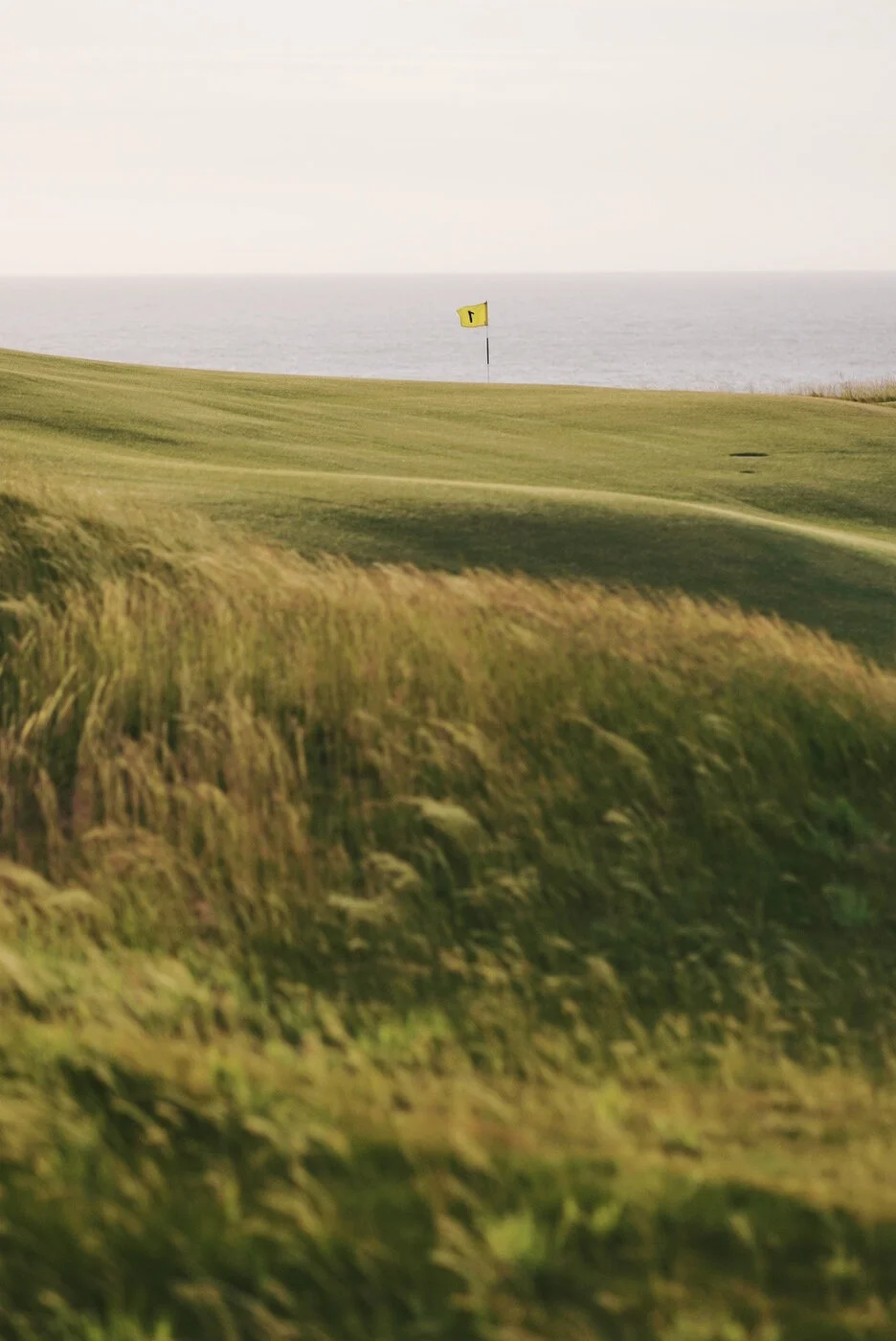 Bandon Summer Quick Edits 140.JPG