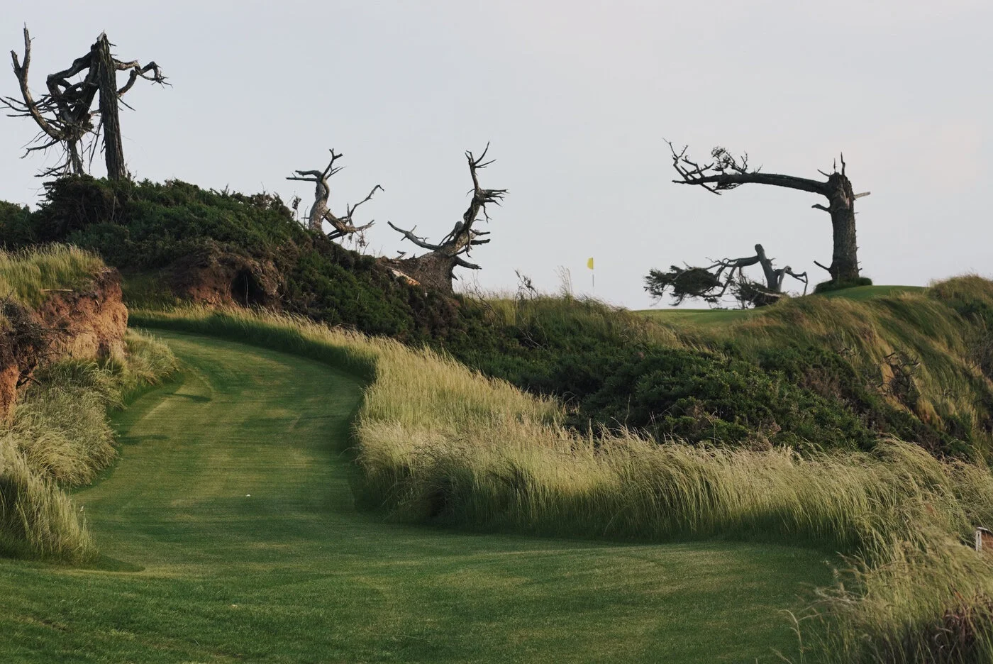 Bandon Summer Quick Edits 141.JPG