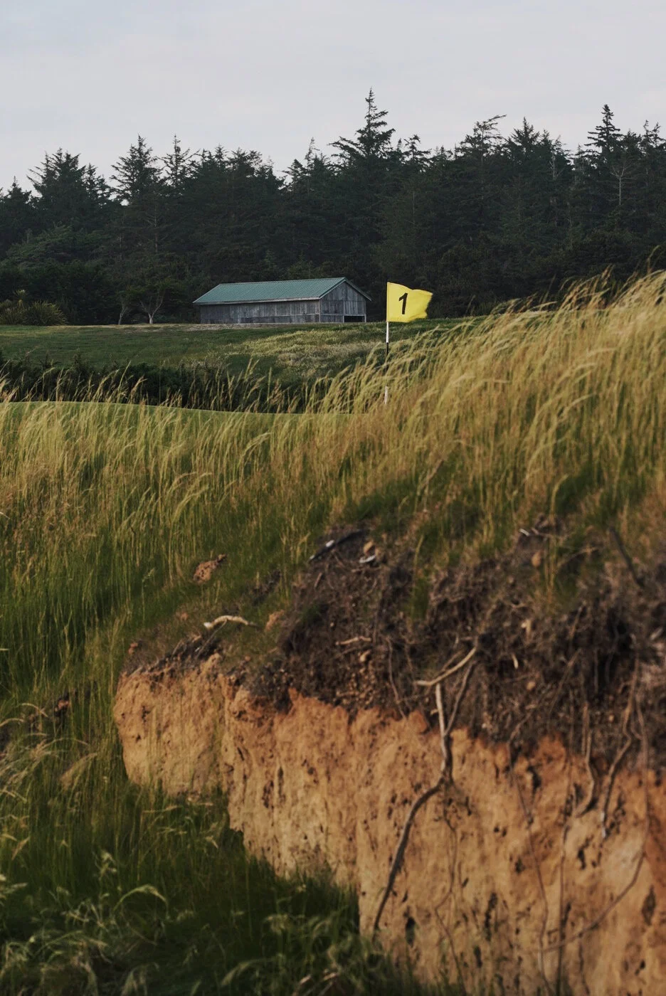 Bandon Summer Quick Edits 144.JPG