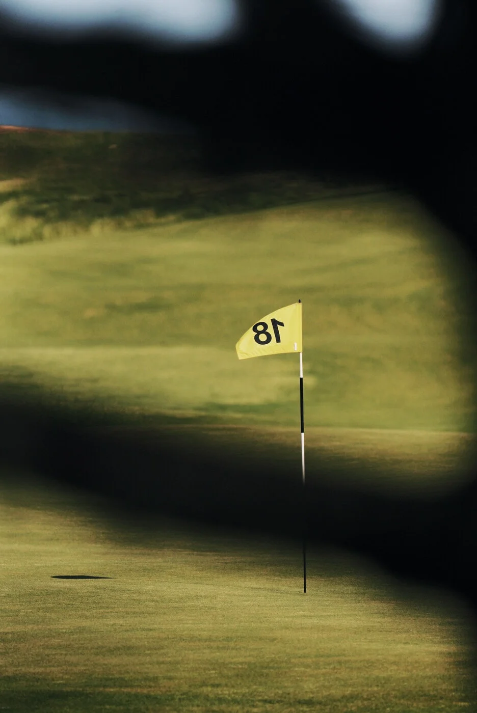 Bandon Summer Quick Edits 156.JPG