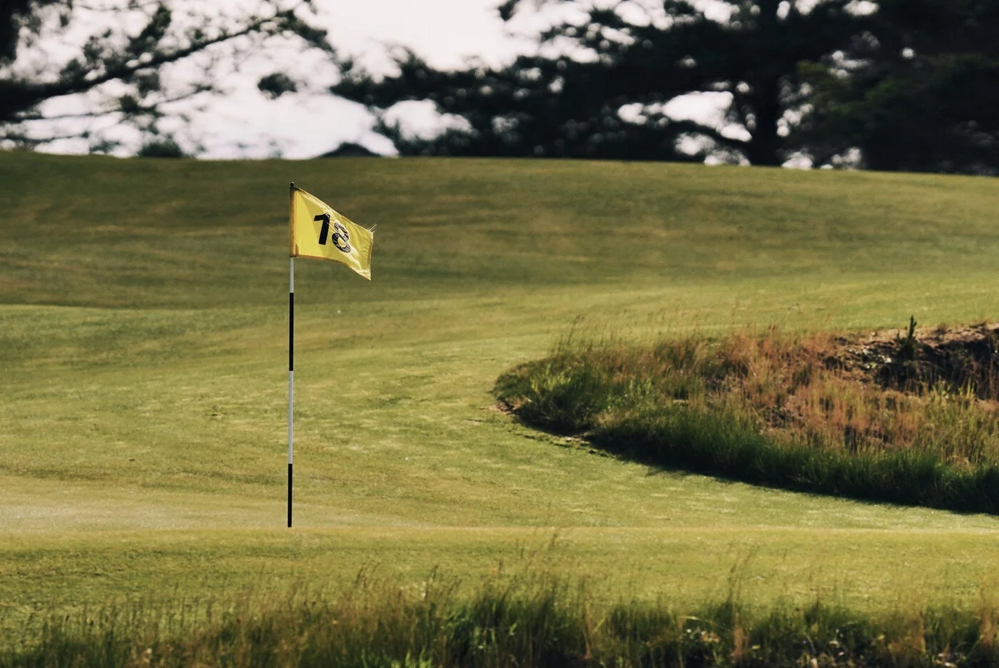 Bandon Summer Quick Edits 160.JPG