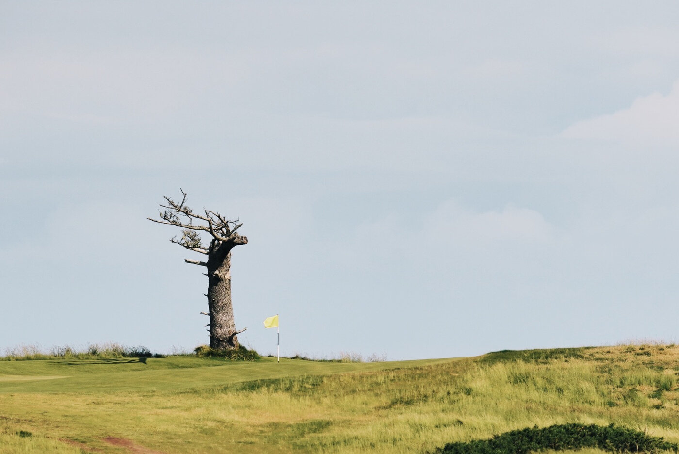 Bandon Summer Quick Edits 161.JPG