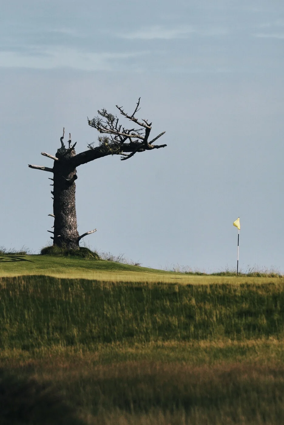 Bandon Summer Quick Edits 163.JPG