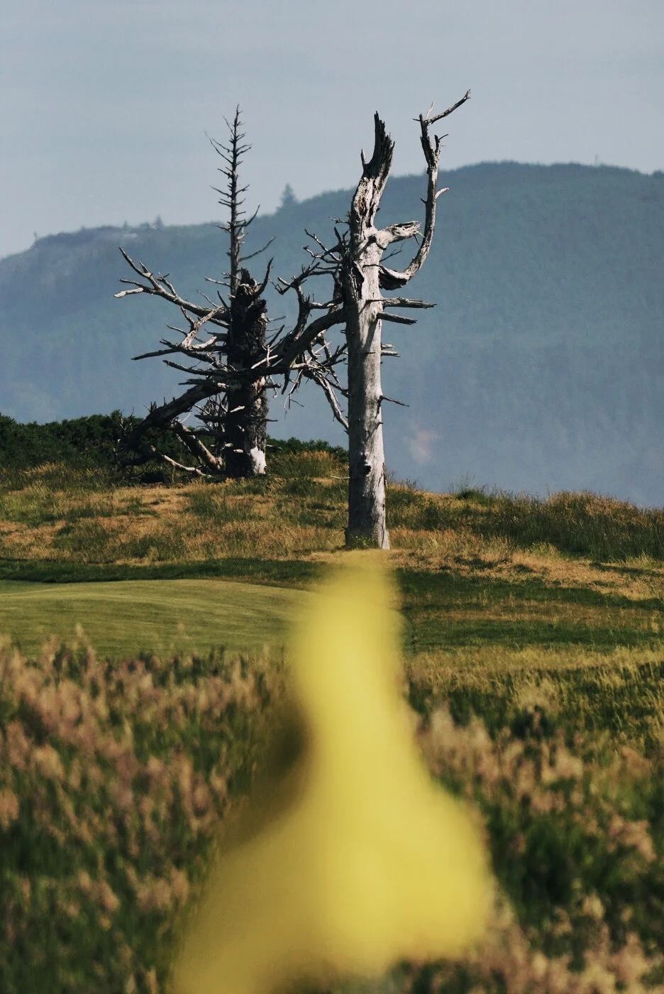 Bandon Summer Quick Edits 166.JPG