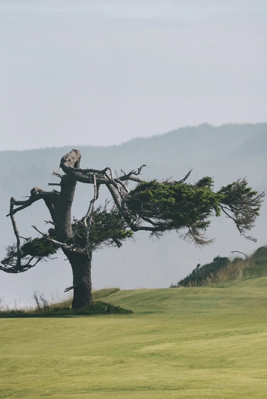 Bandon Summer Quick Edits 171.JPG