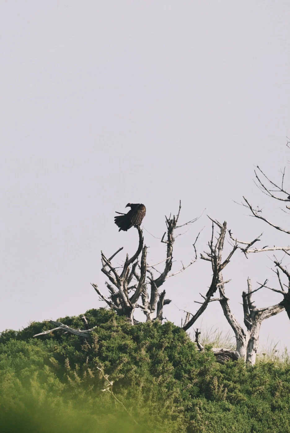 Bandon Summer Quick Edits 174.JPG