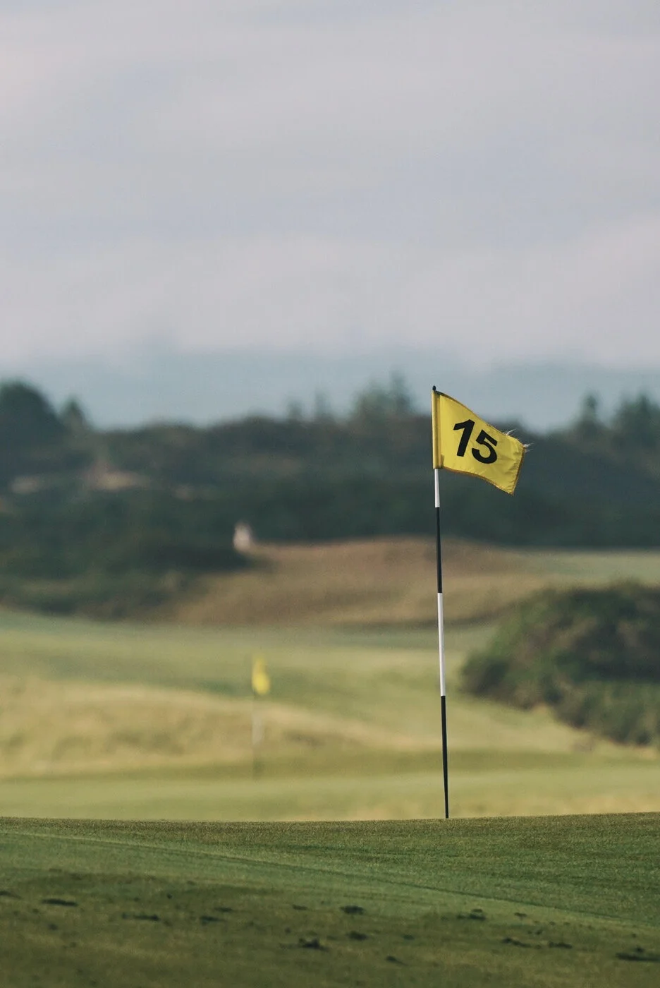 Bandon Summer Quick Edits 180.JPG