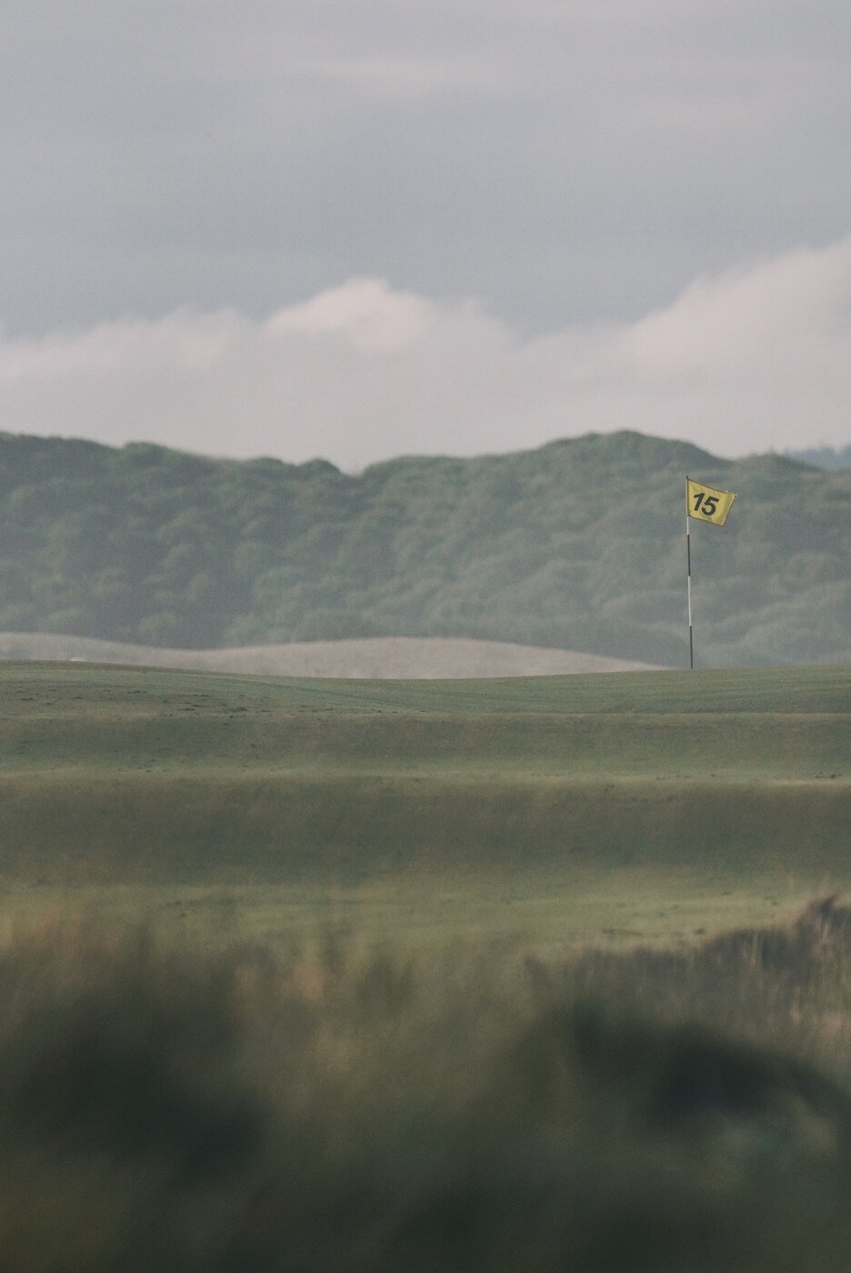Bandon Summer Quick Edits 185.JPG