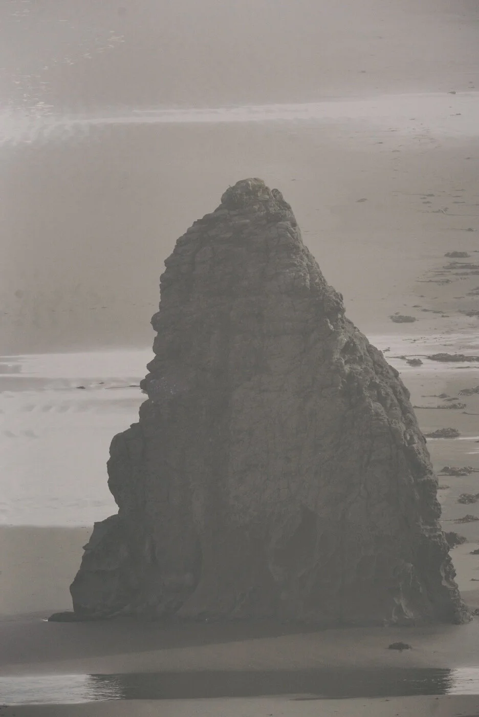 Bandon Summer Quick Edits 187.JPG