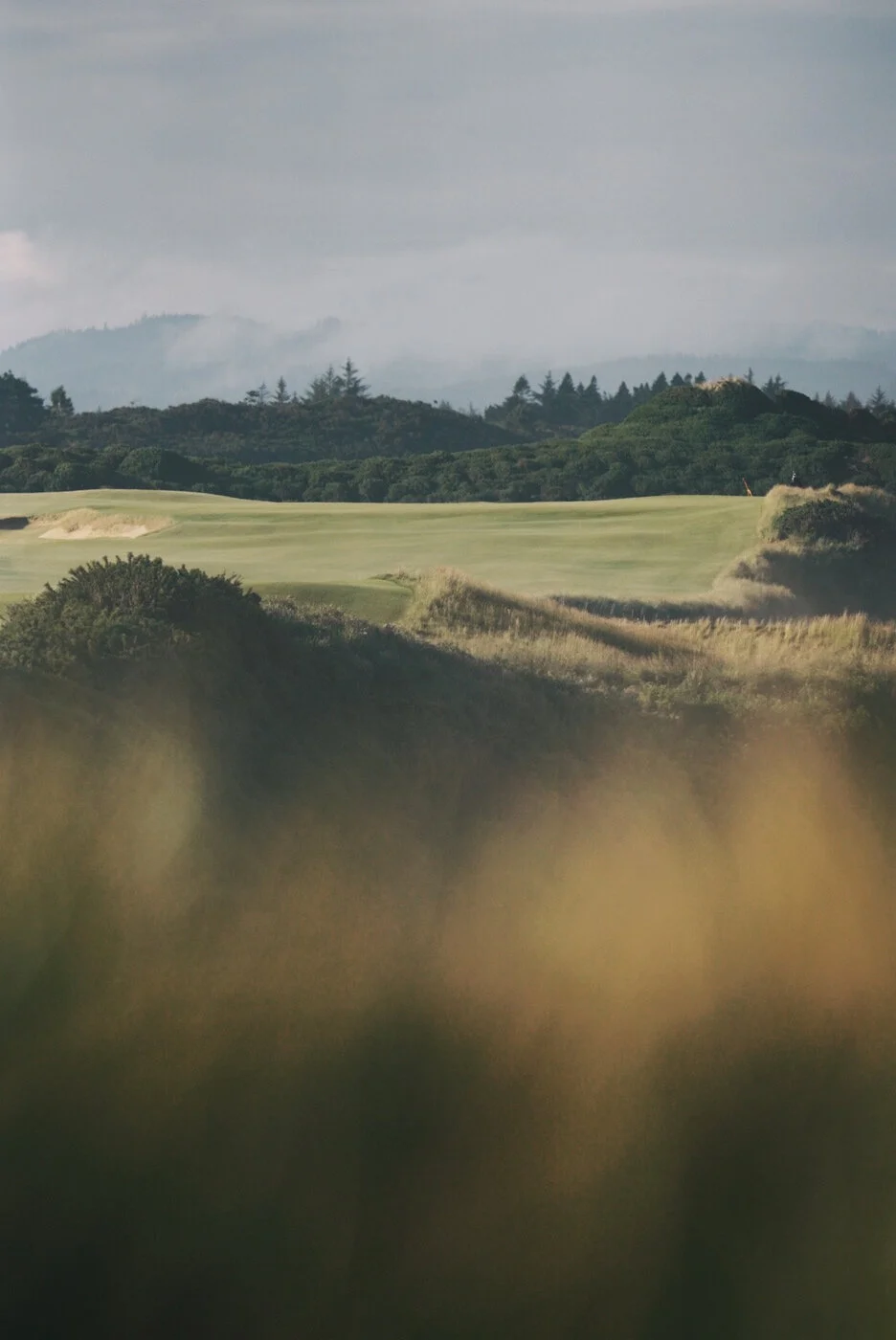 Bandon Summer Quick Edits 191.JPG