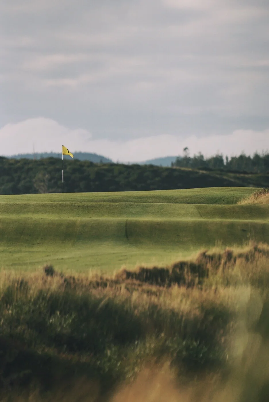 Bandon Summer Quick Edits 192.JPG