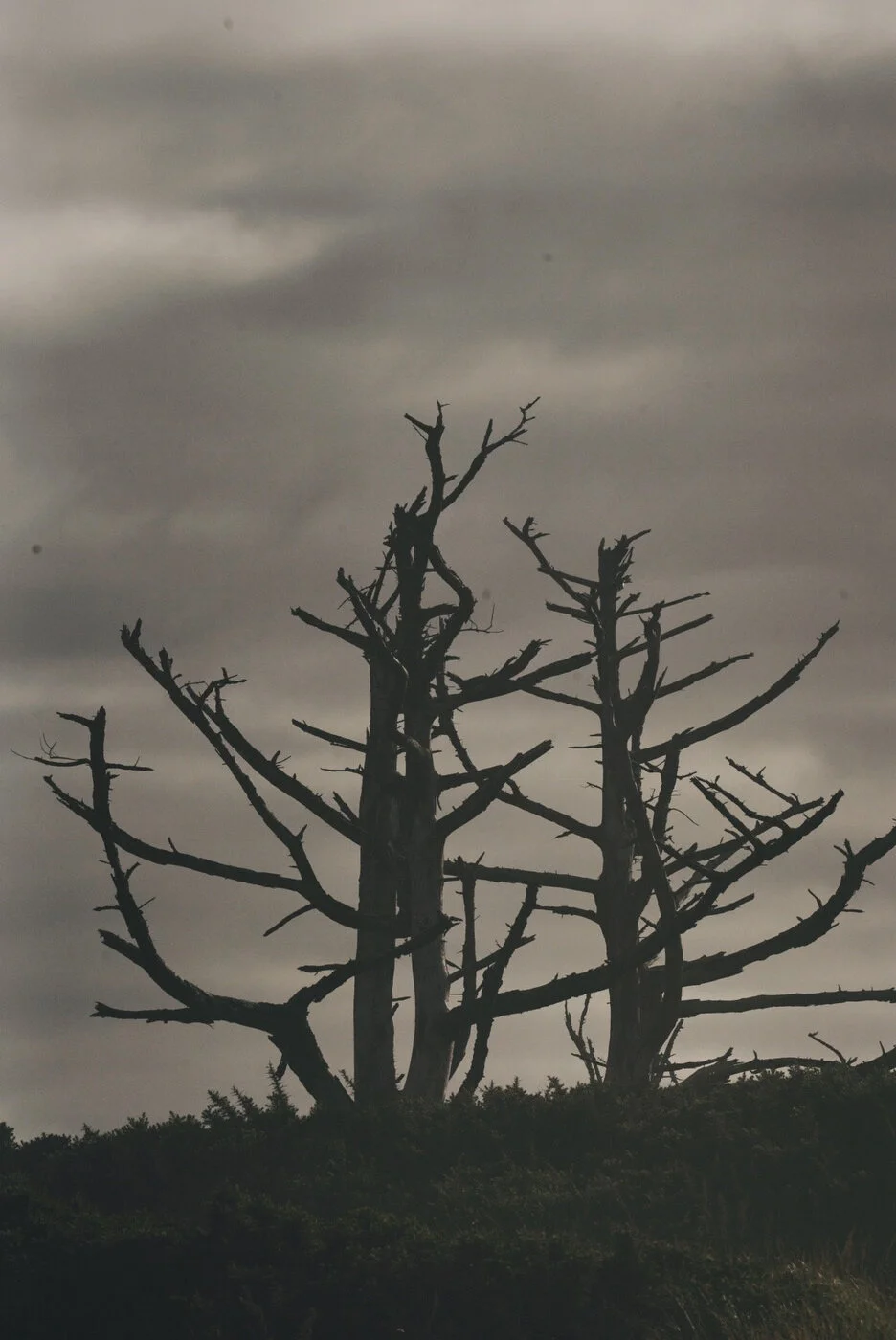 Bandon Summer Quick Edits 195.JPG