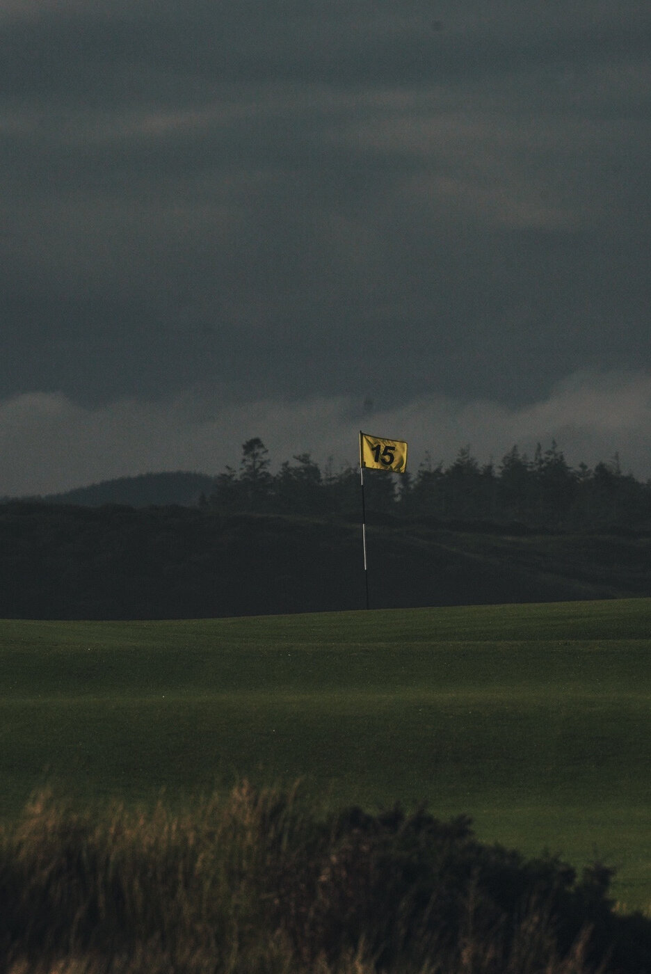 Bandon Summer Quick Edits 196.JPG