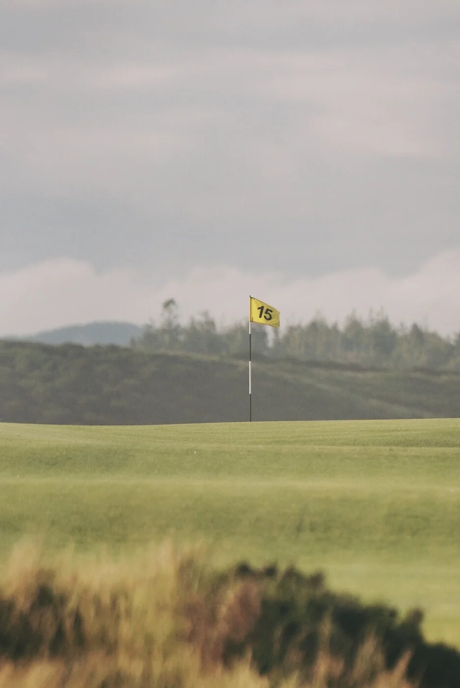Bandon Summer Quick Edits 197.JPG