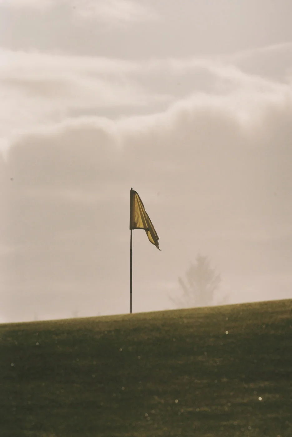 Bandon Summer Quick Edits 199.JPG