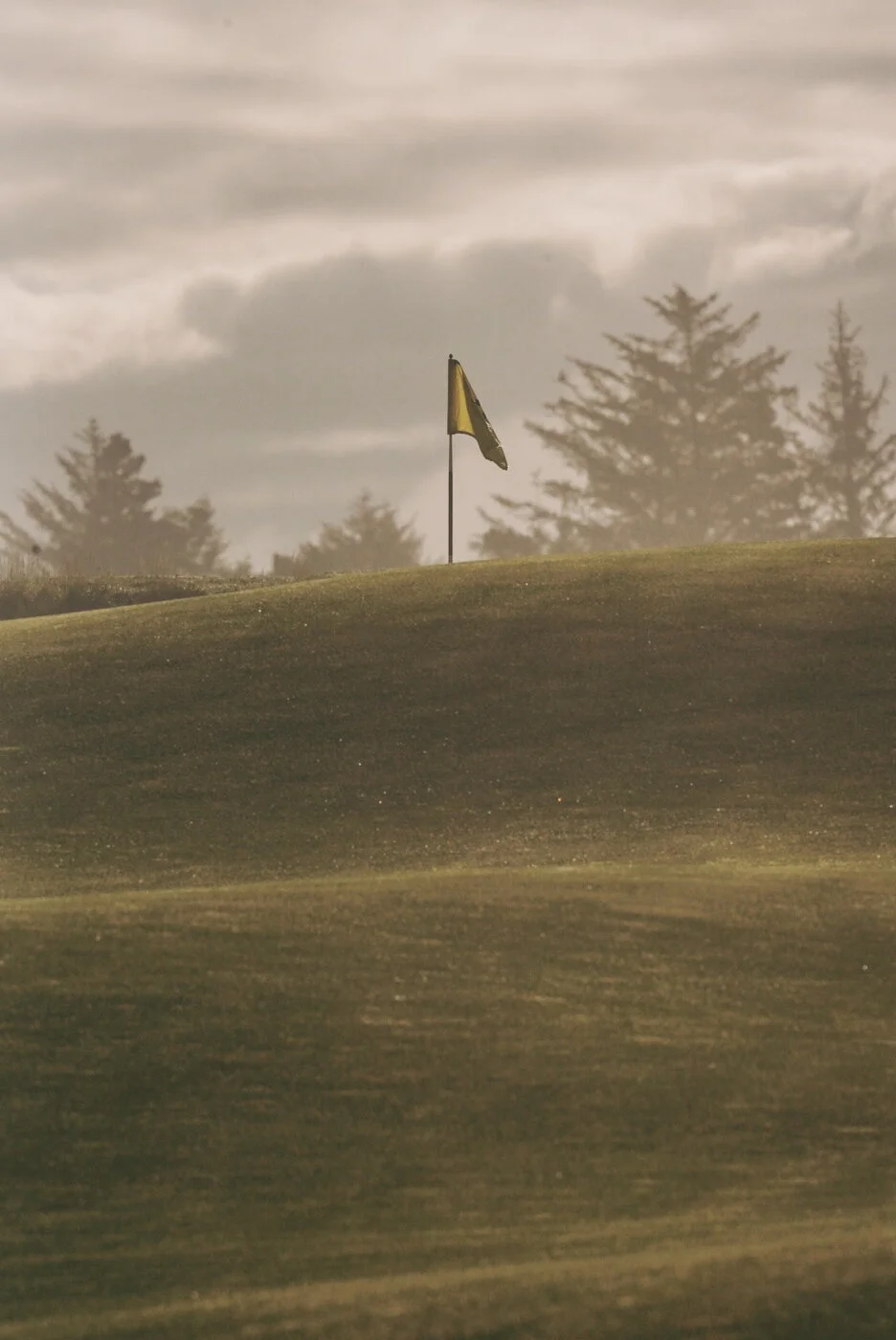 Bandon Summer Quick Edits 198.JPG