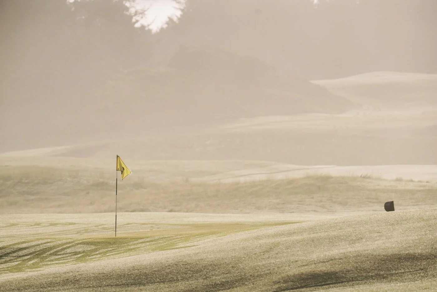 Bandon Summer Quick Edits 201.JPG