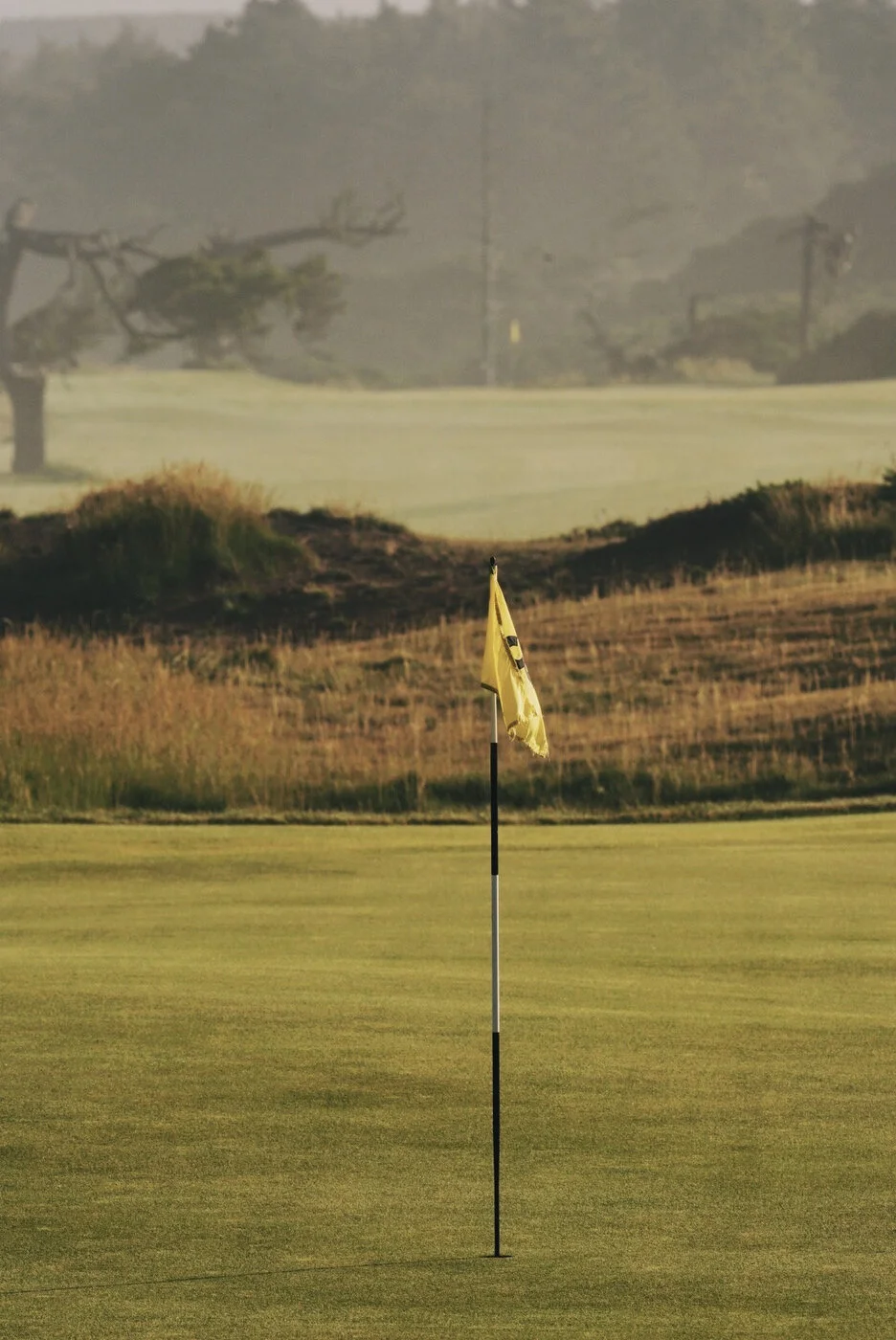 Bandon Summer Quick Edits 200.JPG
