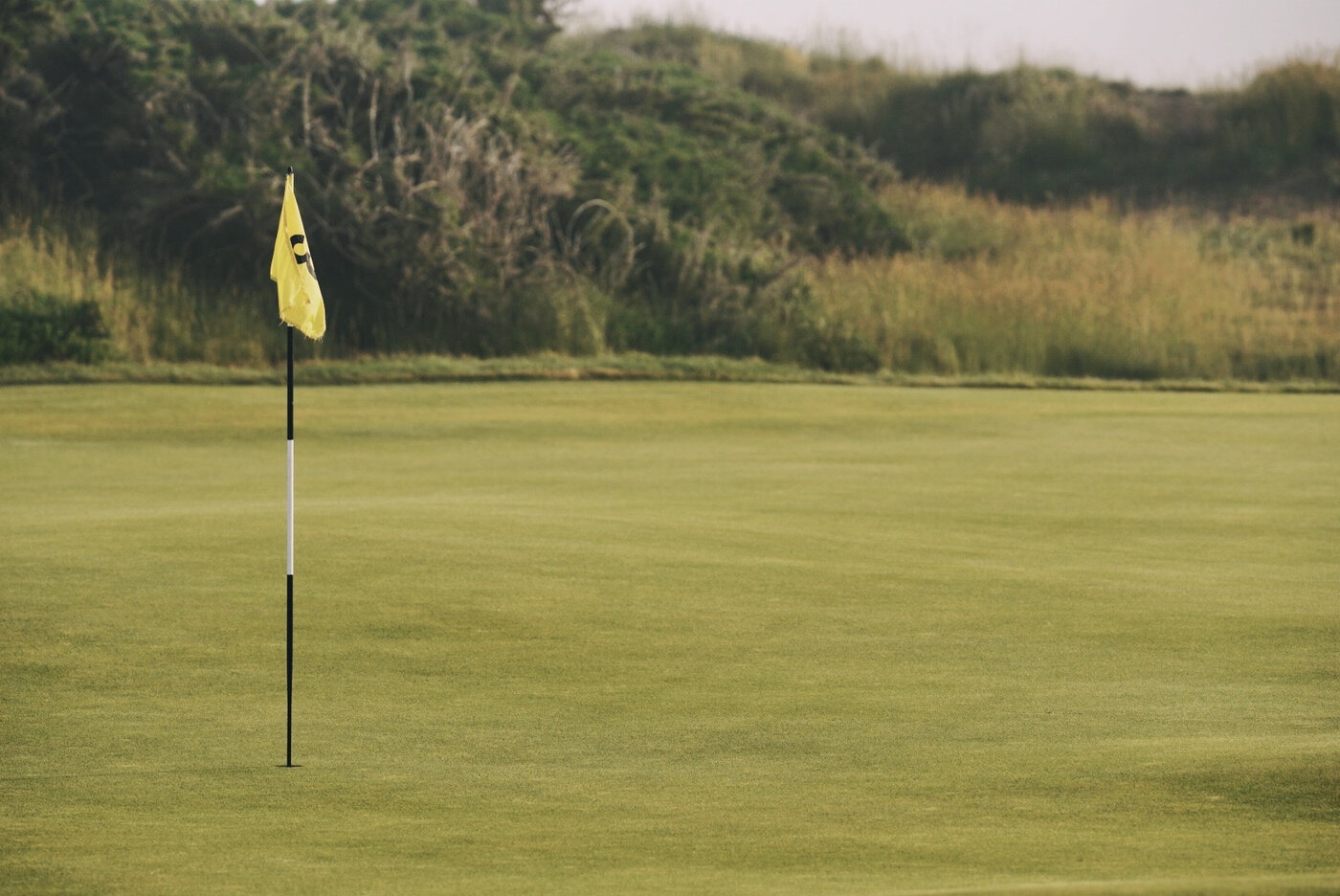 Bandon Summer Quick Edits 202.JPG