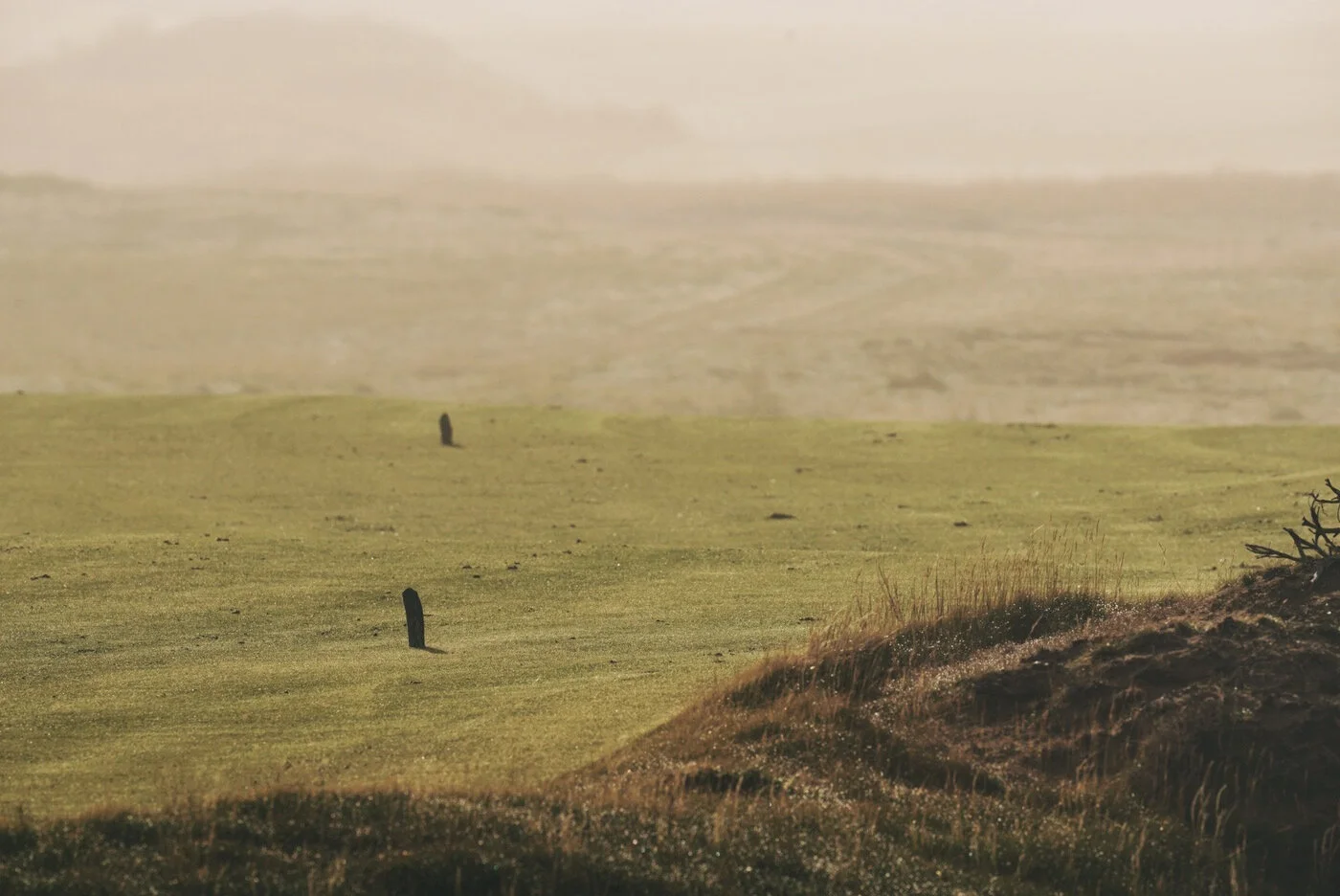 Bandon Summer Quick Edits 205.JPG