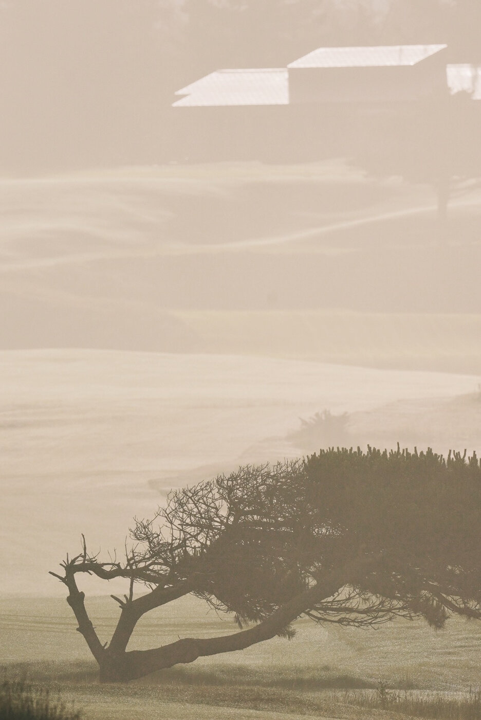 Bandon Summer Quick Edits 206.JPG