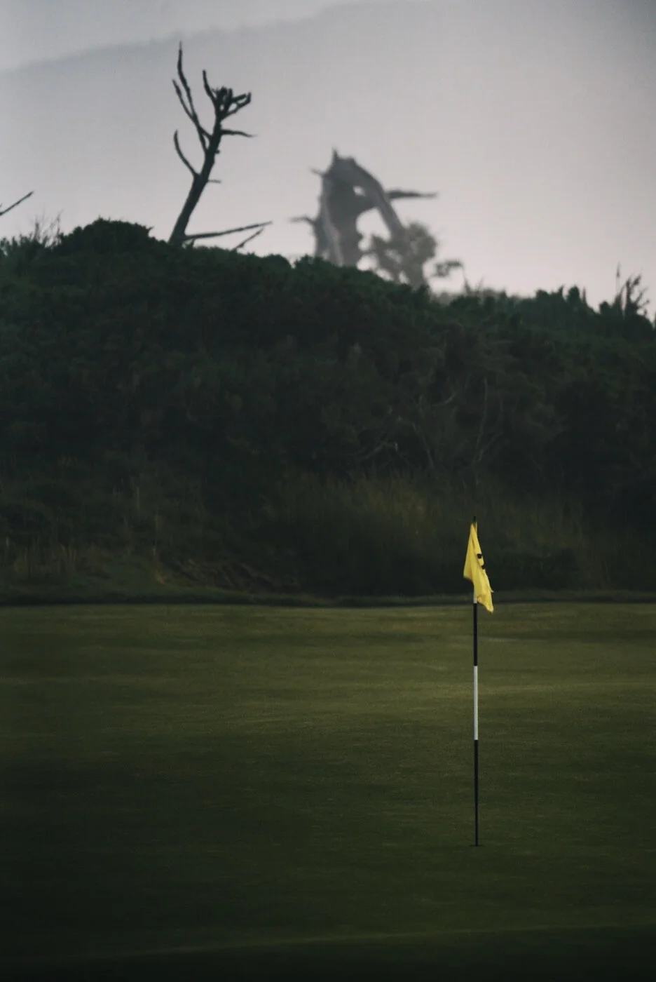 Bandon Summer Quick Edits 215.JPG