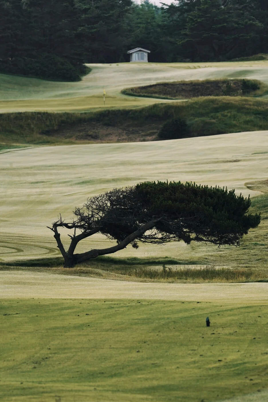 Bandon Summer Quick Edits 216.JPG