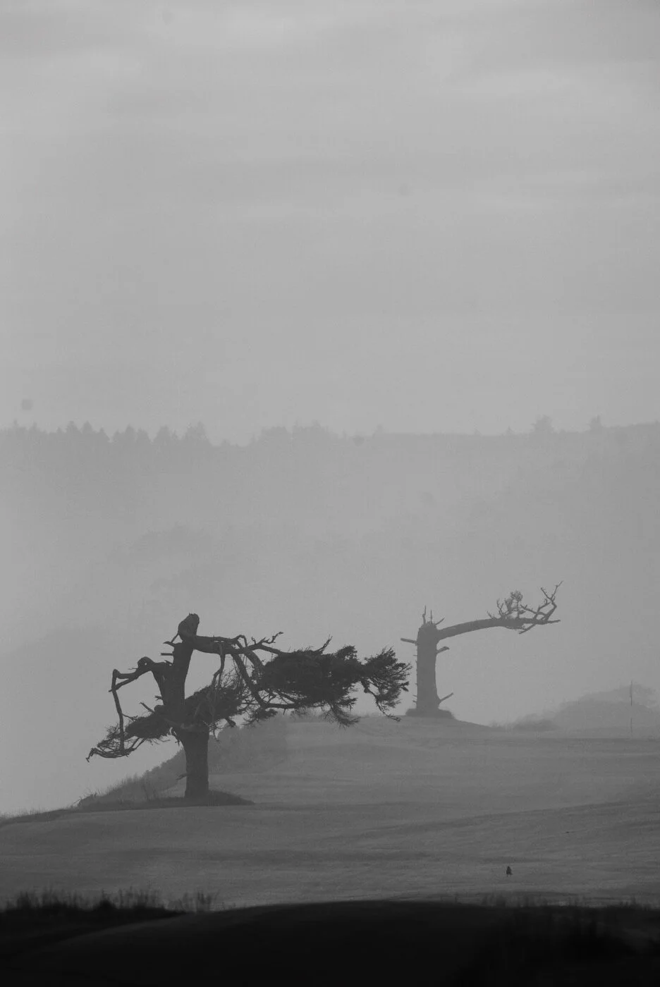 Bandon Summer Quick Edits 218.JPG
