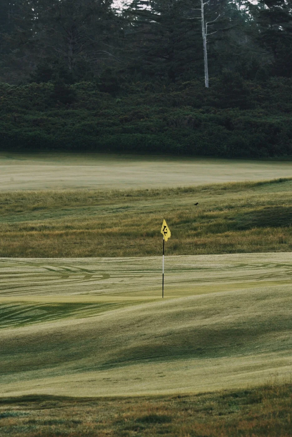 Bandon Summer Quick Edits 217.JPG