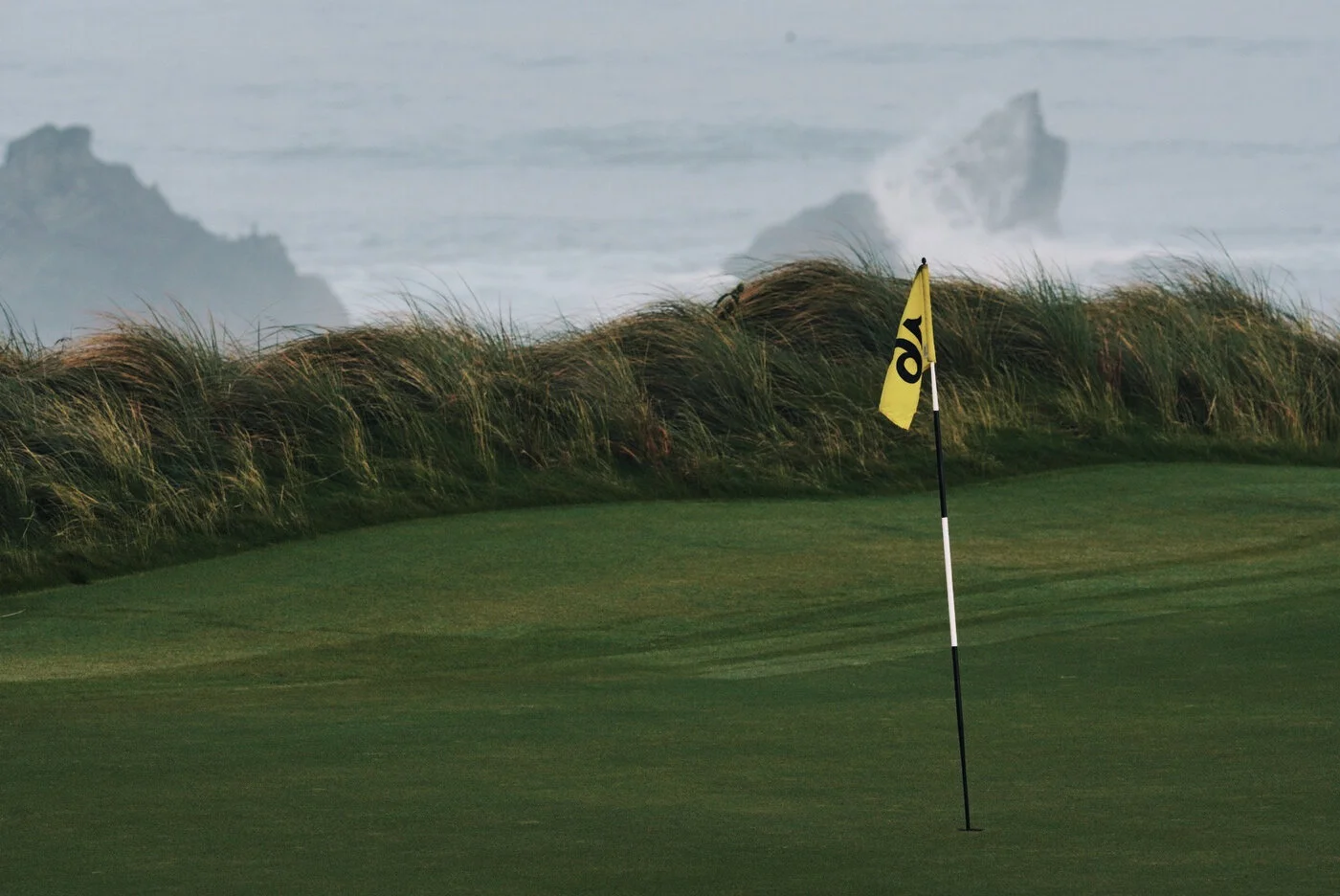 Bandon Summer Quick Edits 221.JPG