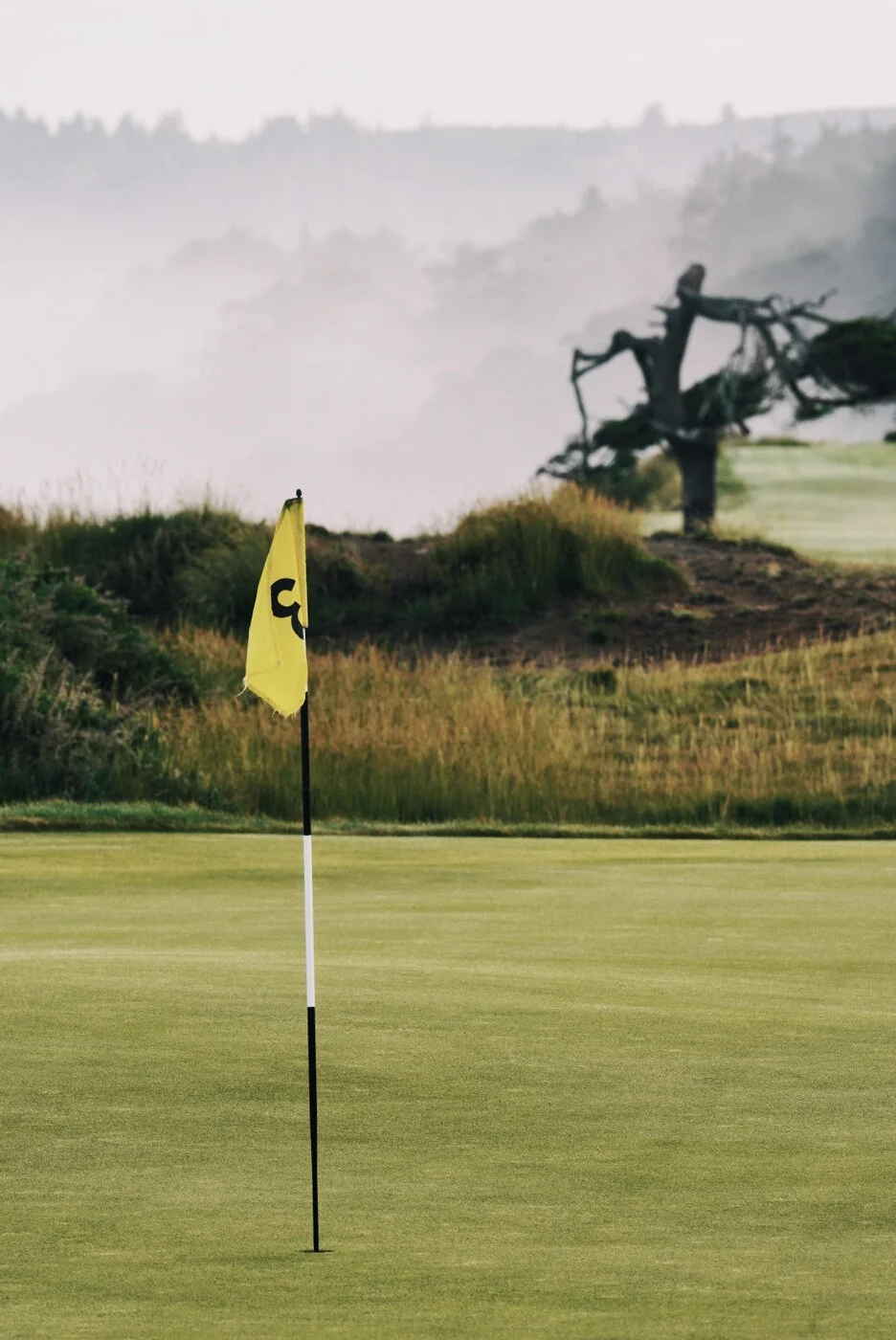 Bandon Summer Quick Edits 223.JPG