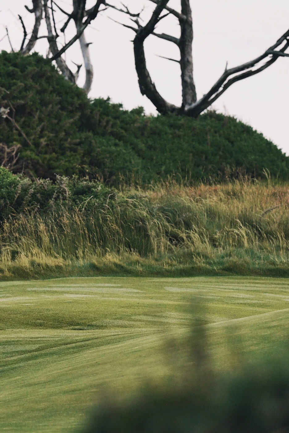 Bandon Summer Quick Edits 226.JPG